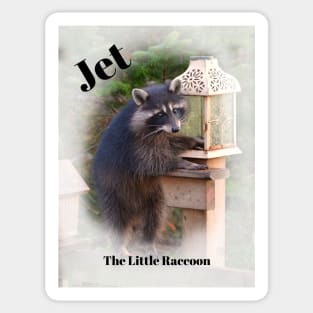 Jet, The Little Raccoon Sticker